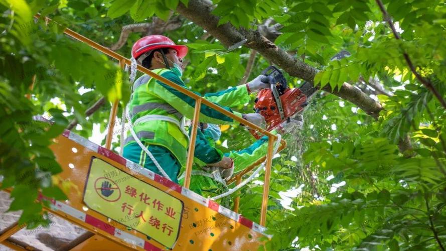 道路绿化工程项目建设的必要性