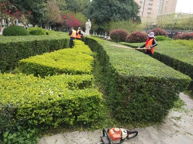 新乡城市绿化养护技术规范及等级标准